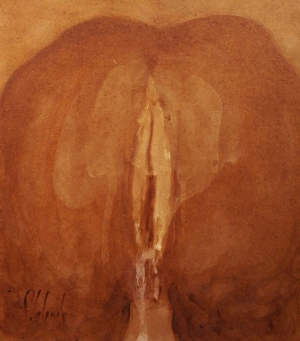 Collant crème