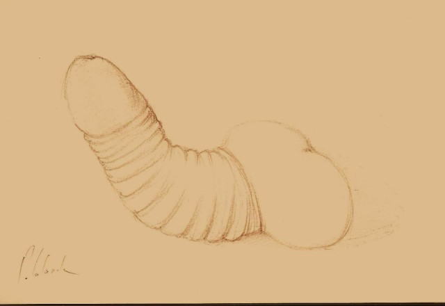 034