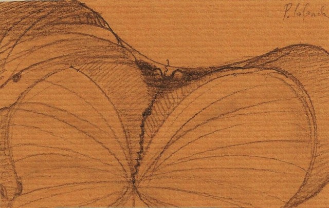 036