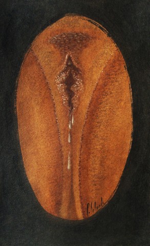 LA SOURCE 2