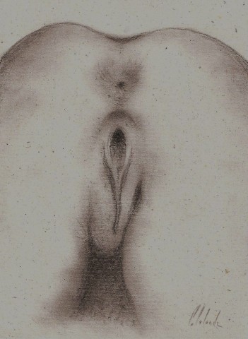 vulve