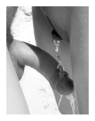 tumblr llvsefJhvp1qk25qfo1 500