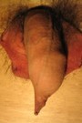 gal0086sm
