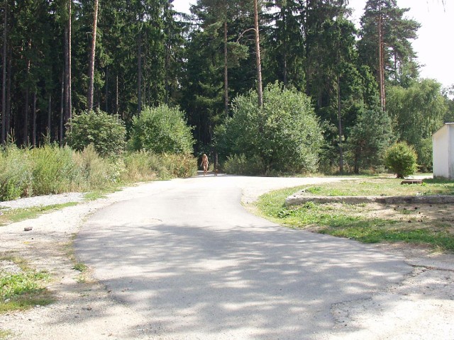 petri565