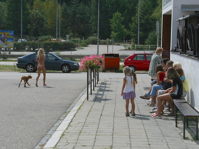 petri584