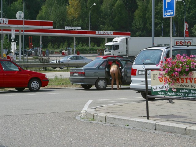 petri587