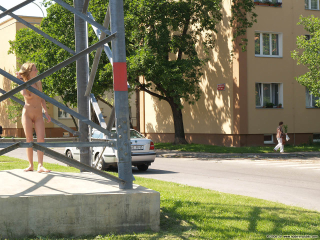 petri982