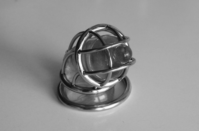 En Cage 2895