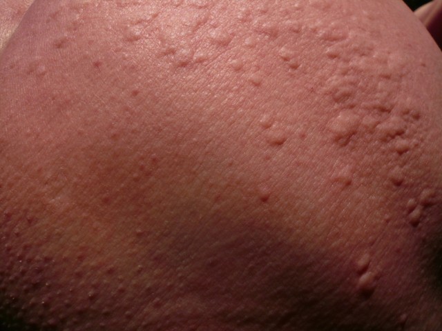 P1210457