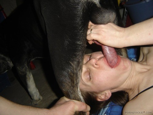 tumblr ncfd0gWDea1tdkomoo3 500