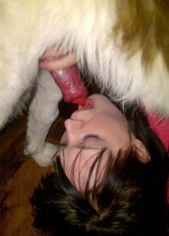 tumblr n08y2h0urK1to8gz3o9 500