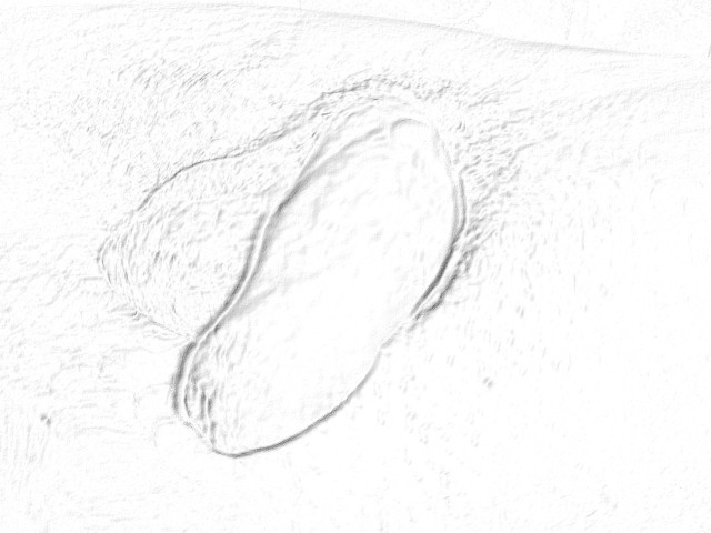 P1180482