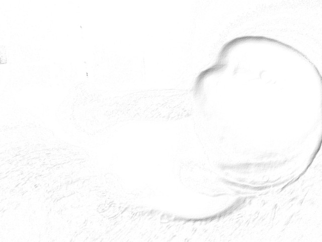 P1180488