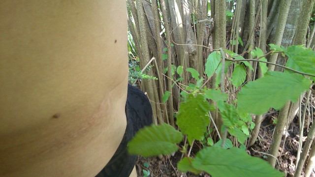 sorti nature (17)