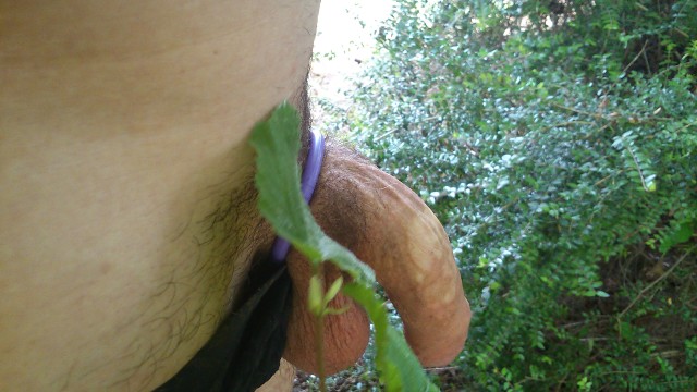 sorti nature (21)