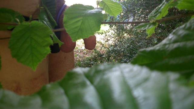 sorti nature (23)