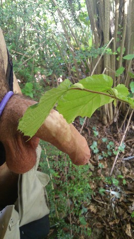 sorti nature (4)