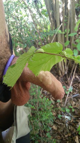 sorti nature (5)