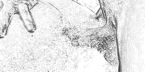 CC49538