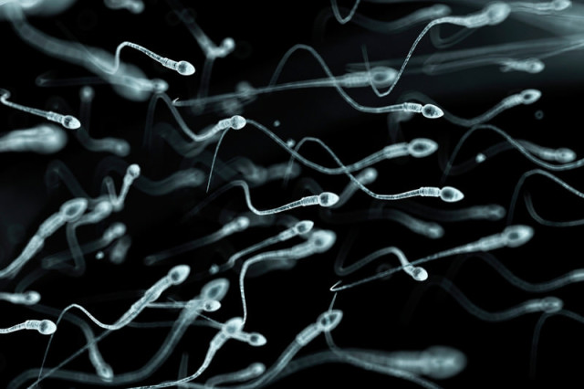 f0077677-human sperm artwork-spl-800x533