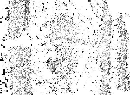 porte
