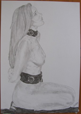 art of bondage 5