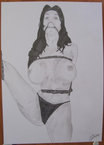 art of bondage n6