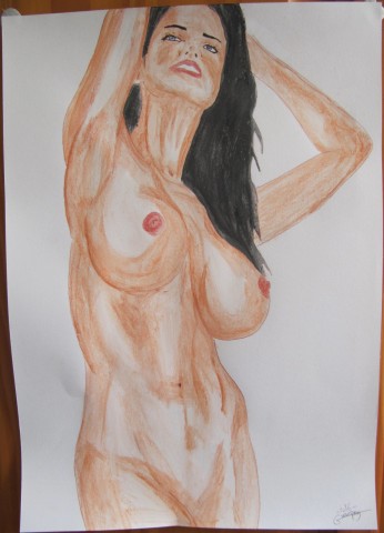 pastel A3-copie-2