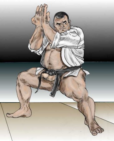 30Judo