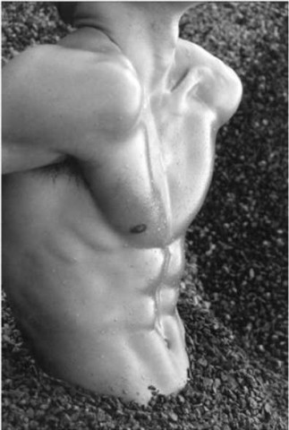[xave's best gay pics] Muscular torso in the sand (B&W)