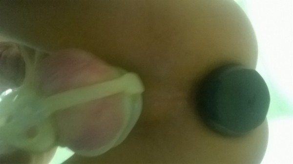 10 - Pneumo. - D - -
