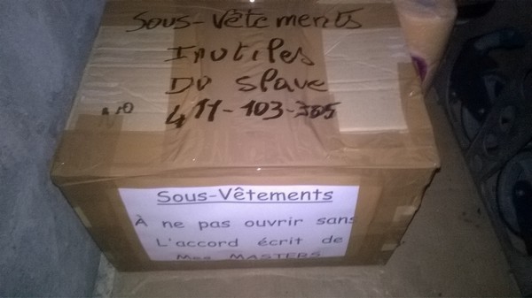29 - Carton - D - -.-