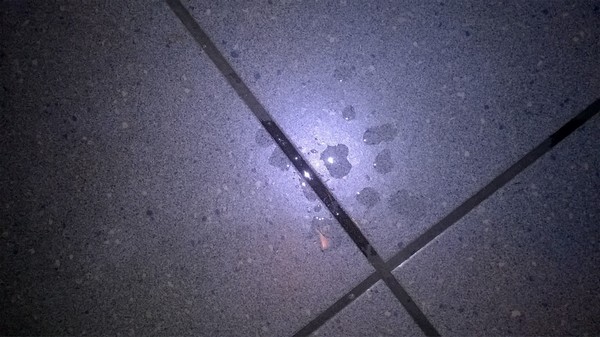 37 - Corvée - D  - -.-