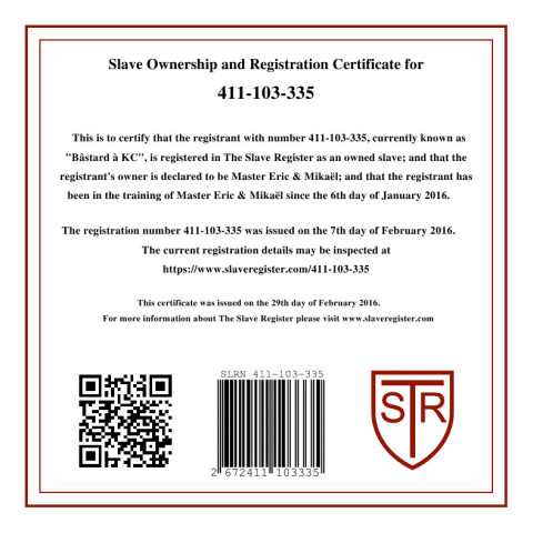 09 - Certificat - 411-103-335 - -.-