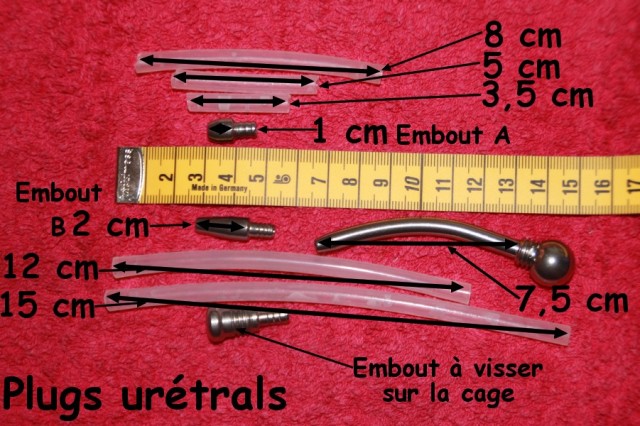 06 - Plugs Urétrals pour cage ou Sceptre Princier - -.-