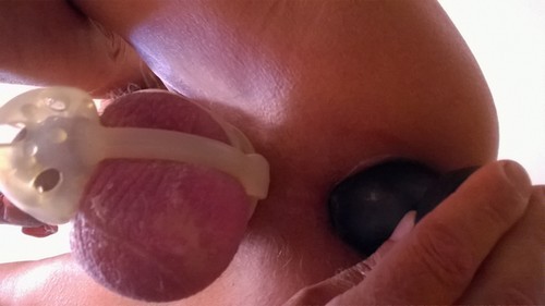 03 - Plug N° 03 - D - -.-