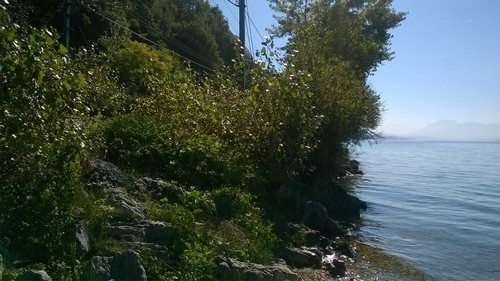 20 - Au Lac - D - -.-