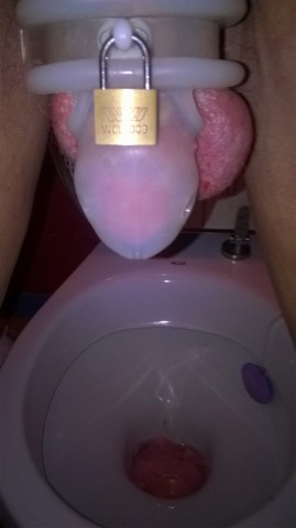 41 - Toilettes - B - -.-