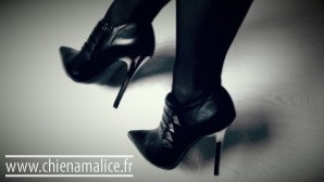 chienamalice talon aiguille-