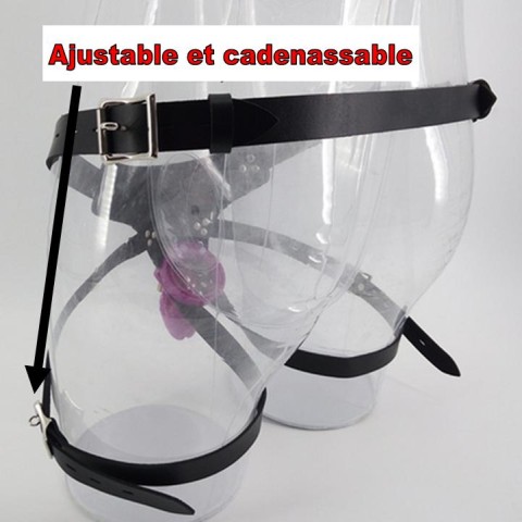 La ceinture de chasteté avec CB6000s 2