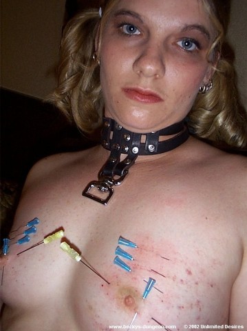 Aiguilles dans les seins2 (55)