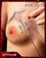 Aiguilles dans les seins2 (95)