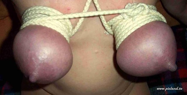 Aiguilles dans les seins1 (147)