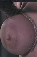 Jeu de seins (266)