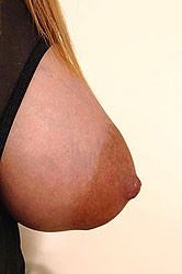 Travail des seins 11 (121)