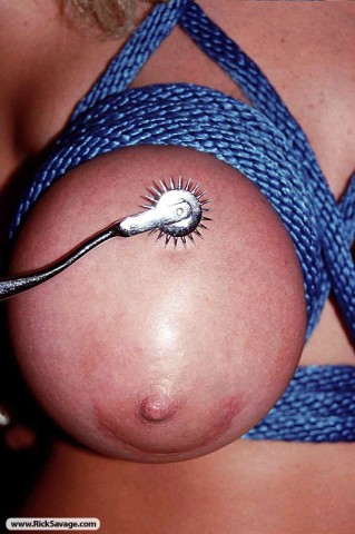 Travail des seins 11 (148)
