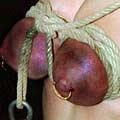 Travail des seins 11 (42)
