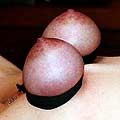 Travail des seins 11 (70)