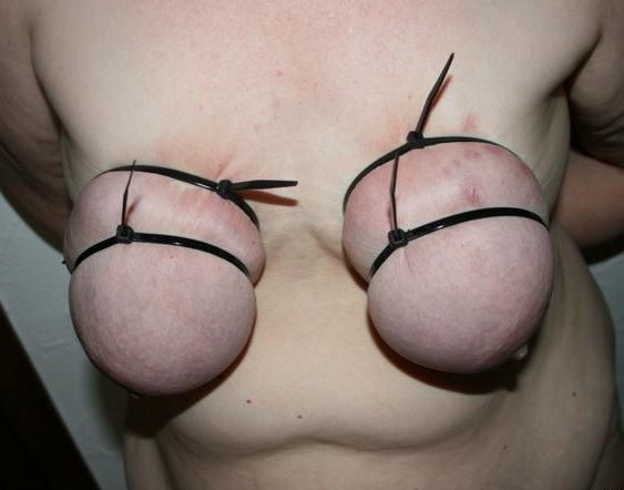 Jeu de seins3 (110)