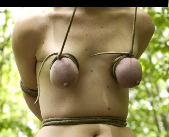 Jeu de seins4 (11)